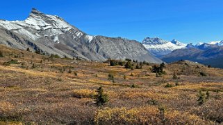 Nigel Peak 3211 m - Wilcox Pass Trail - Parc National de Jasper Canada 2023